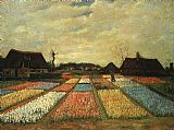 Vincent van Gogh Flower Beds in Holland painting